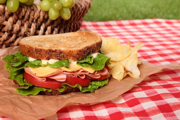 Prosciutto e formaggio sandwich di picnic