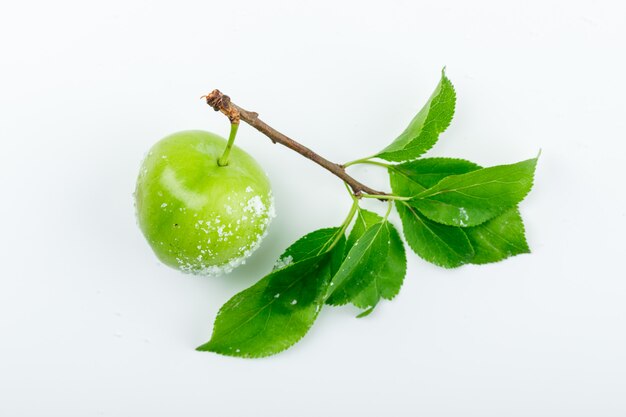 Prugna verde salata con foglie verdi piatte distese su un muro bianco