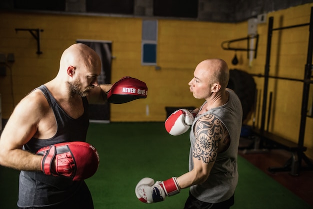 Pugili che praticano la boxe nello studio fitness