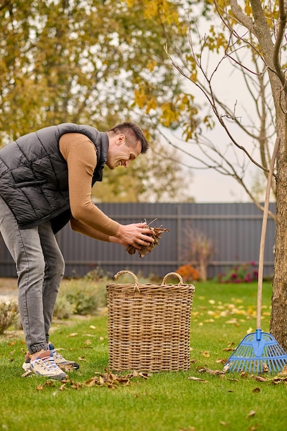 Pulizia, foglie. Profilo di giovane uomo allegro in jeans e gilet con una manciata di foglie in mano sporgendosi cesto in piedi sul prato in giardino il giorno d'autunno