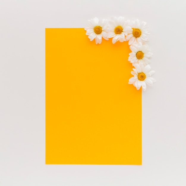 Punto di vista dell&#39;angolo alto di carta in bianco arancio con i fiori della margherita bianca su fondo bianco