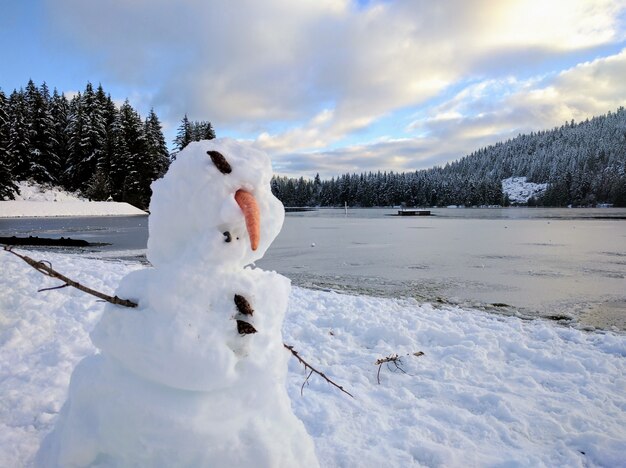 pupazzo di neve deforme con un lago ghiacciato