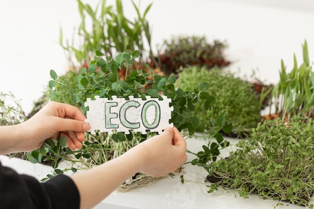 Puzzle con la scritta eco nelle mani sullo sfondo di microgreens