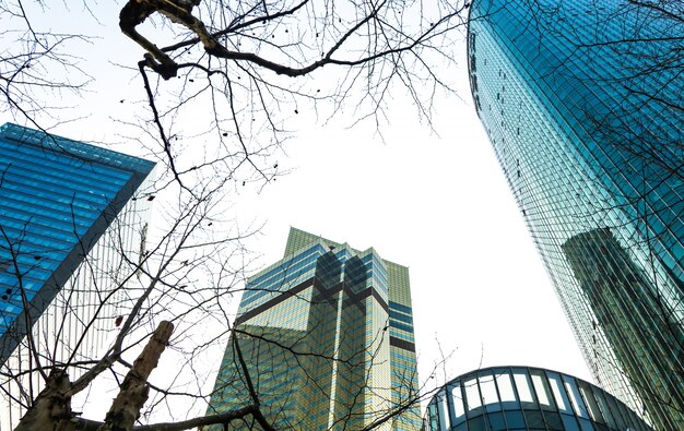 Quartiere degli affari di Shanghai Lujiazui