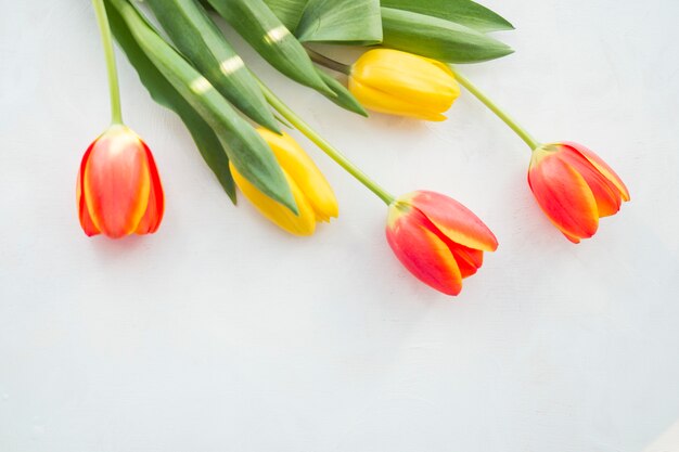 Quattro fiori di tulipano sul tavolo bianco
