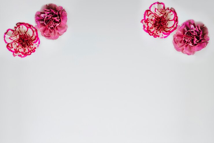 Foto gratuito quattro fiori in cima e copyspace