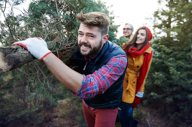 Questo albero di Natale è grande e così pesante