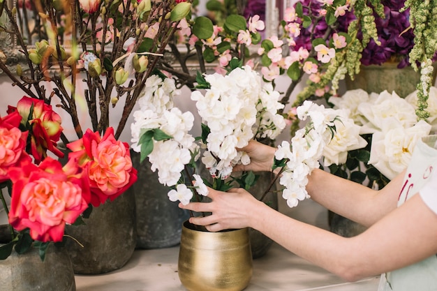 Raccolga la donna che compone i bei fiori