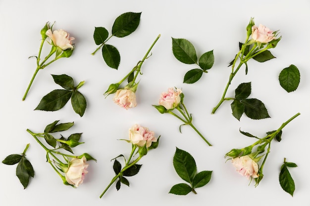 Raccolta di fiori piatti laici sul tavolo