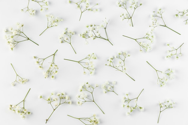 Raccolta di fiori piatti laici sul tavolo