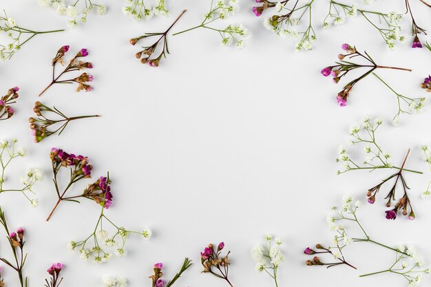 Raccolta di fiori piatti laici sul tavolo