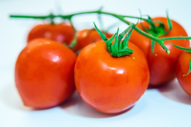 Raccolta di pomodori con una luce ombre, isolata on white,