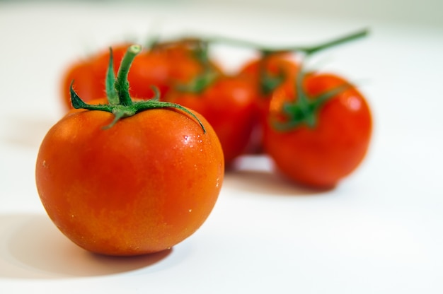 Raccolta di pomodori con una luce ombre, isolata on white,