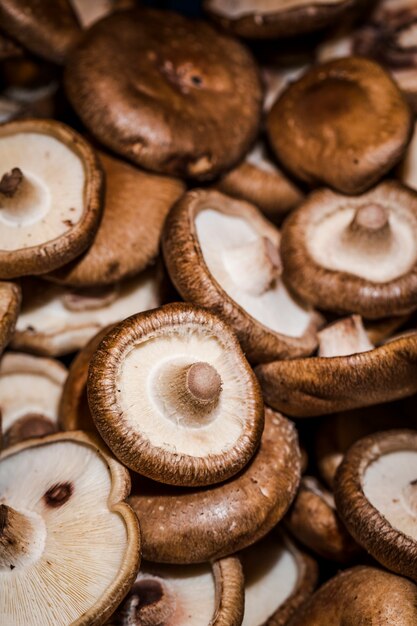 Raccolta organica dei funghi sani da vendere