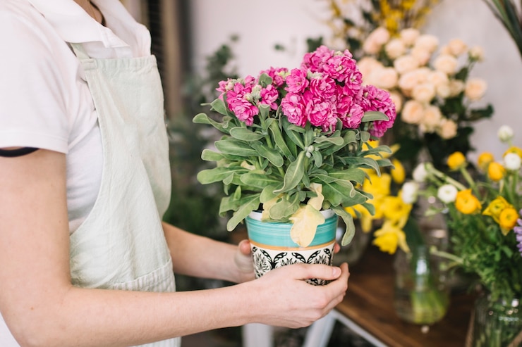 Foto gratuito raccolto fiorista con fiori in vaso
