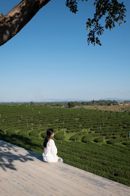 ragazza alla fattoria del tè