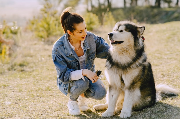 Ragazza alla moda in un campo soleggiato con un cane