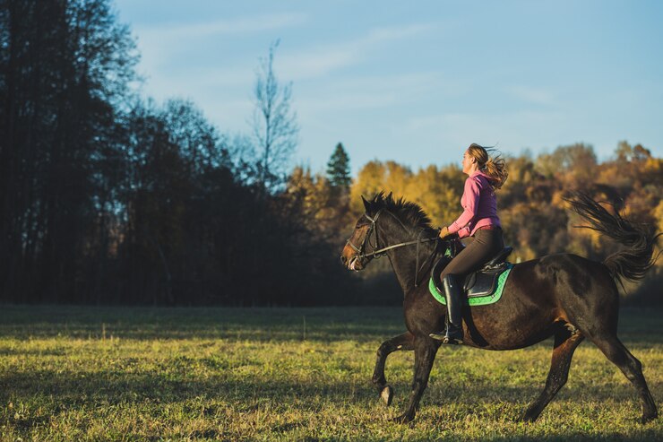Foto gratuito ragazza cavalca un cavallo