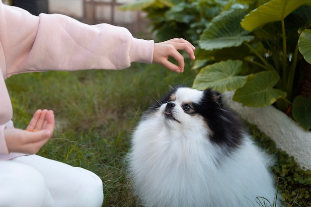 Ragazza che alimenta il suo cane un ossequio