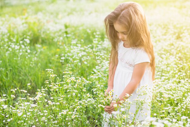 Ragazza che sta nei campi di fiori bianchi