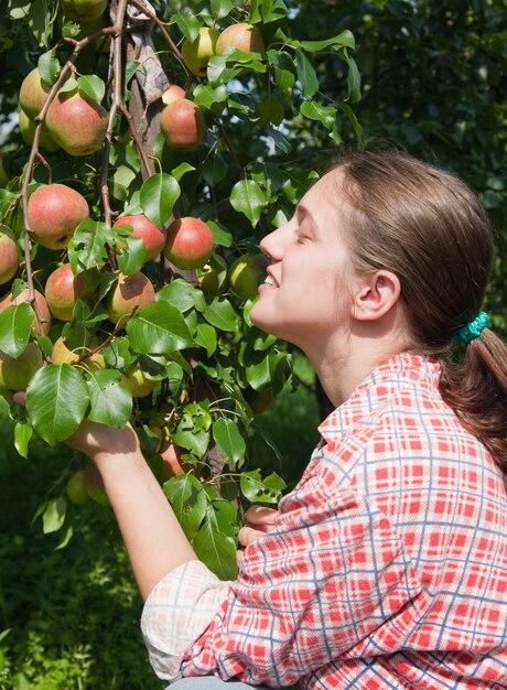 Ragazza con le mele nel frutteto