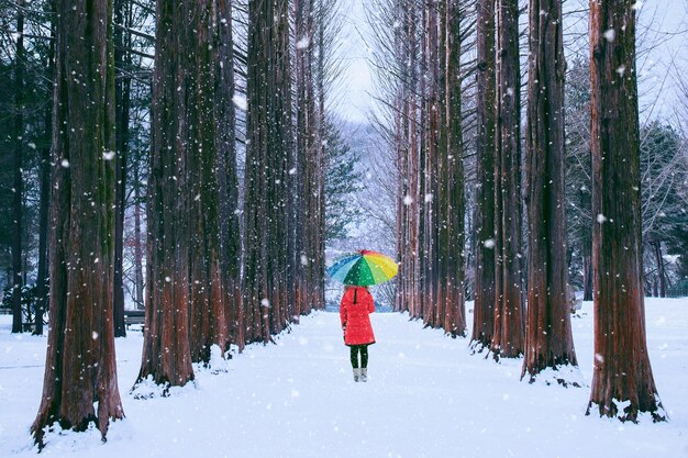 Ragazza con ombrellone colorato nella struttura ad albero di fila, isola di Nami in Corea del Sud. Inverno in Corea del Sud.