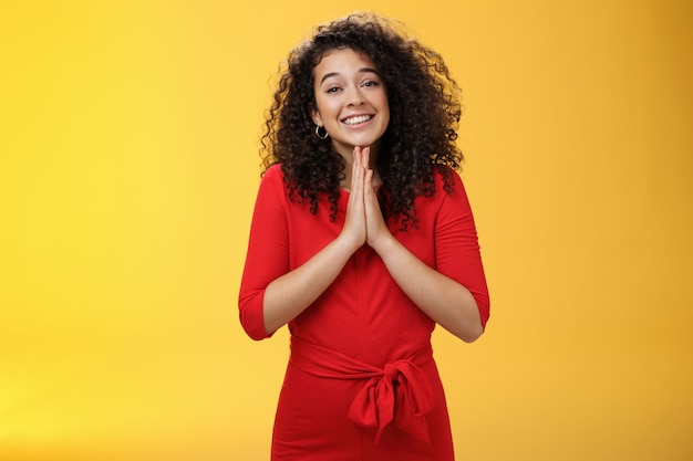 Ragazza con un sorriso d'angelo che fa gli occhi come un amico che vuole fare un favore, tenendosi per mano in preghiera, sorridendo e guardando con anticipazione mentre implora aiuto in piedi sciocco e carino su sfondo giallo.