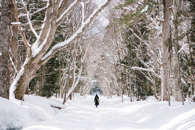 ragazza nella foresta della neve al santuario di togakushi, Giappone