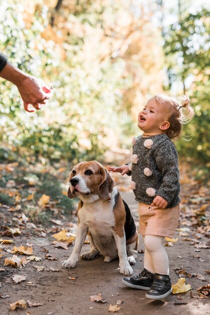 Ragazza sorridente che esamina il cane di cane beagle di alimentazione della mano della persona