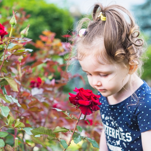 Ragazza sveglia che esamina la rosa rossa nel giardino