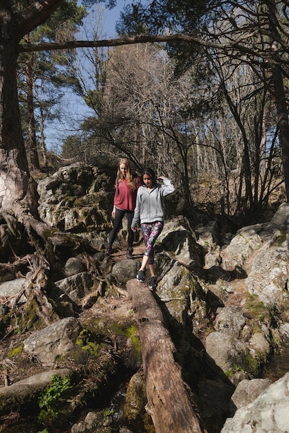 Ragazze a piedi attraverso la foresta