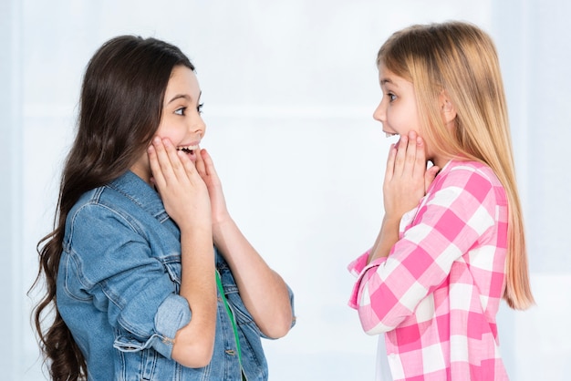 Ragazze di vista laterale che se lo guardano