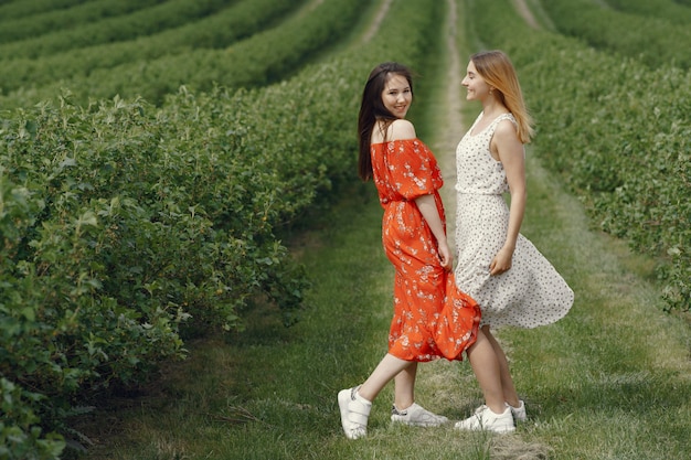 Ragazze eleganti e alla moda in un campo estivo