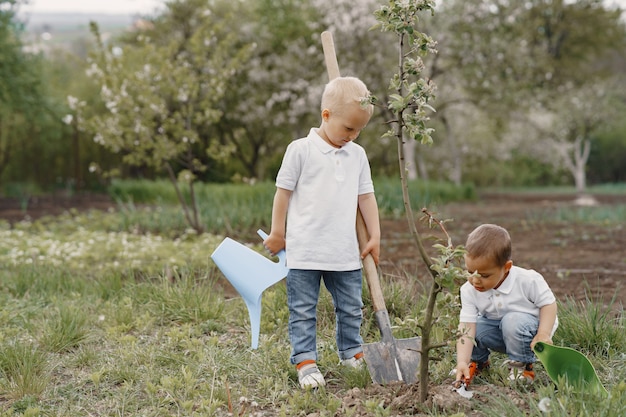 Ragazzini svegli che piantano un albero su un parco