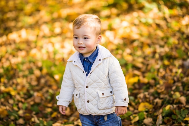 Ragazzino che gioca nel fogliame giallo. Autunno nel parco cittadino giovane ragazzo.