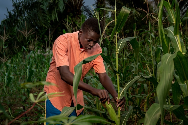 Ragazzo di tiro medio che lavora nel campo di grano