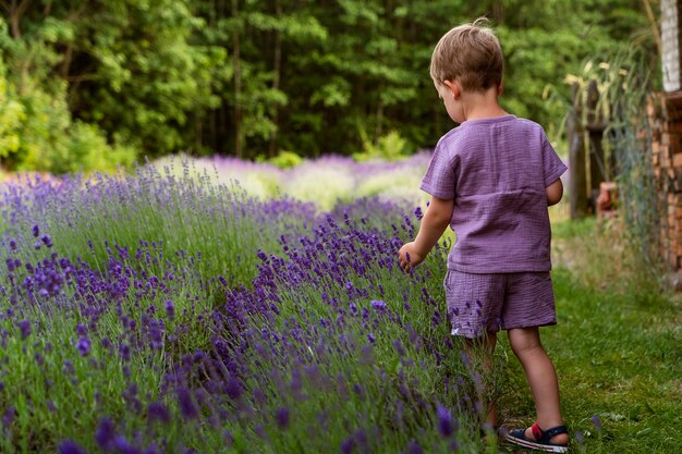 Ragazzo di vista posteriore nel campo di lavanda