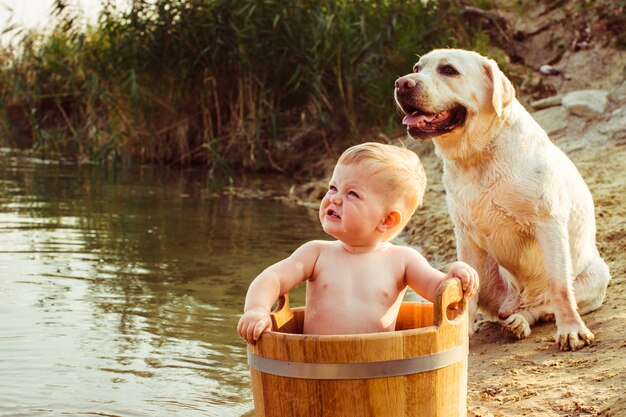 &quot;Ragazzo e cane da bambino alzando lo sguardo&quot;