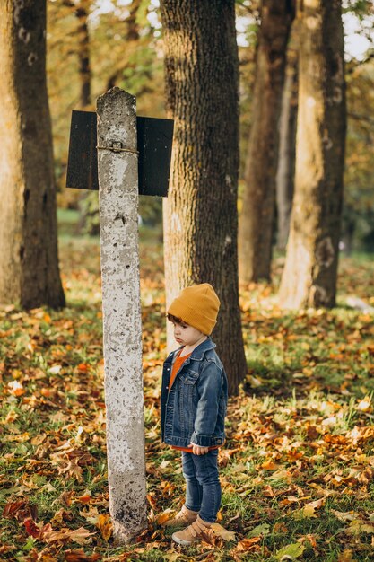 Ragazzo sveglio che gioca con le foglie nella sosta di autunno