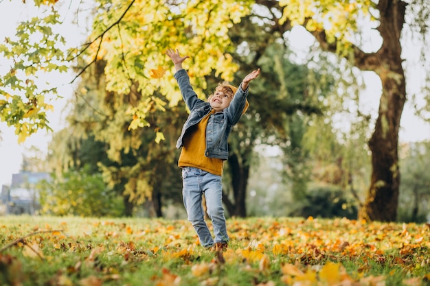 Ragazzo sveglio che gioca con le foglie nella sosta di autunno