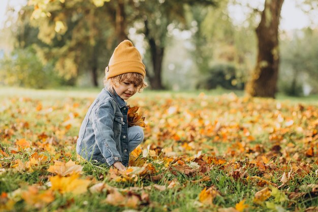 Ragazzo sveglio che gioca con le foglie nella sosta di autunno