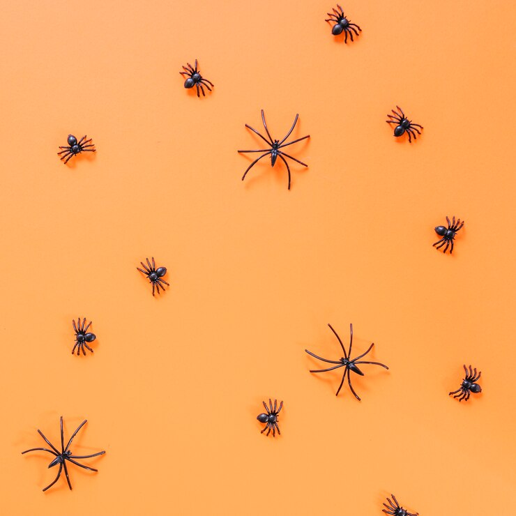 Foto gratuito ragni artificiali di halloween posati sulla superficie