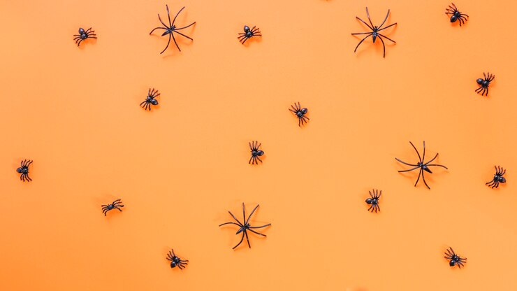 Foto gratuito ragni decorativi neri sparsi sulla superficie