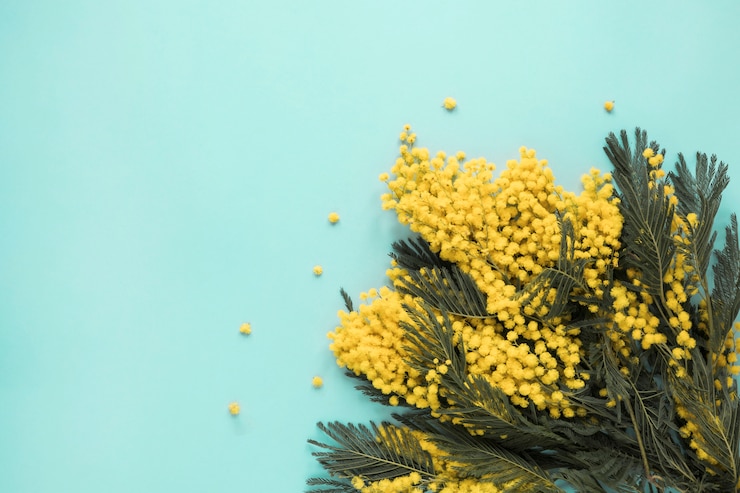 Foto gratuito rami di fiori gialli sparsi sul tavolo blu