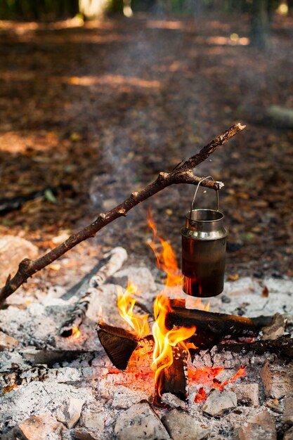 Ramifichi tenendo un contenitore con acqua sopra il fuoco