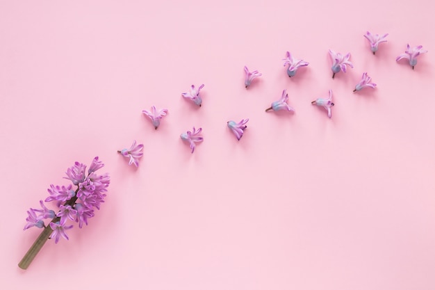 Ramo di fiori viola con piccoli germogli sul tavolo