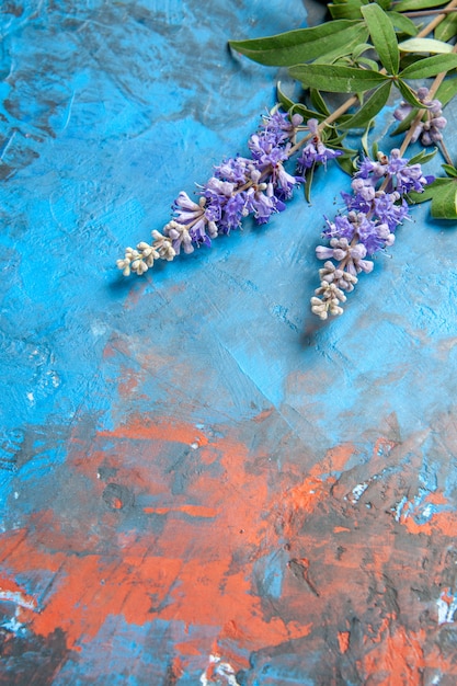 Ramo di fiori viola vista dal basso sul tavolo blu con spazio libero