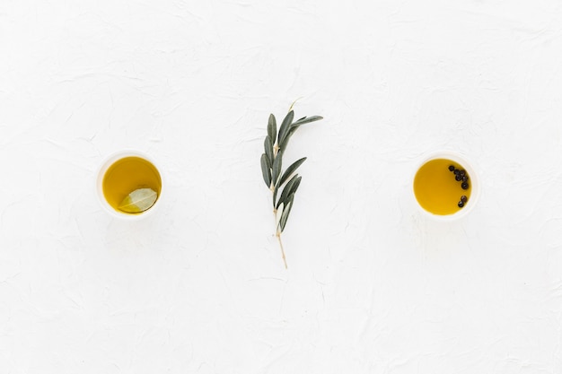 Ramoscello di olive con pepe nero e olio d&#39;oliva nelle ciotole