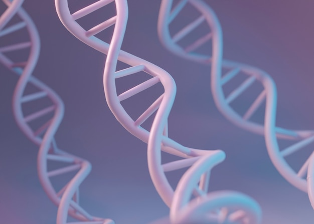 rappresentazione 3d del dna