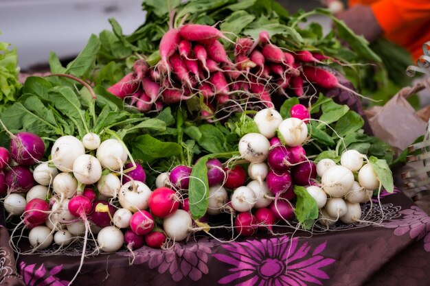 Ravanelli freschi al mercato degli agricoltori